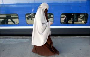 francebanveil-drider